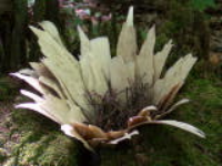 100_1573.jpg